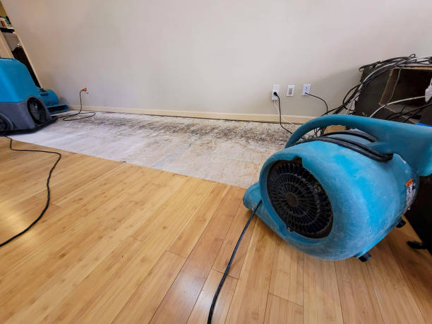 Professional Water Damage Repair technician working in Cairo, MO